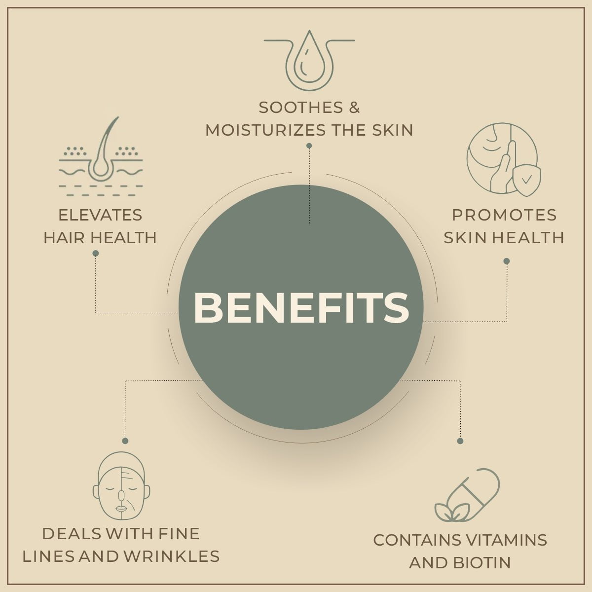 Salvia Natural Carrier Oils Walnut Oil Salvia Natural Carrier Oils Walnut Oil